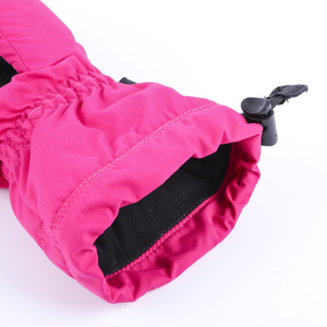 Venta al por mayor caliente antideslizante PU guantes de esquí de invierno a prueba de agua Windstop para damas nuevo estilo cálido deportes de invierno para esquiar al aire libre - Product Image 5
