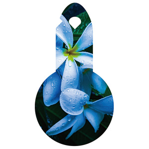 Etiqueta de planta de hortensia Etiqueta colgante de nombre de semilla Etiqueta colgante resistente a los rayos UV - Product Image 2