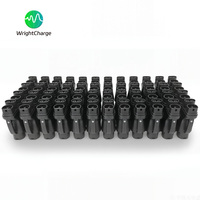 Adaptateur de charge rapide GBT vers CCS2 300A DC, convertisseur de charge pour véhicules électriques, station de charge GBT, borne de recharge rapide haute puissance WrightCharge