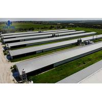 Équipement d'élevage avicole : Conception de bâtiments en bois et structure en acier pour poulaillers de poulets de chair