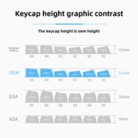 OEM Profile PBT Double Shot 135Keys Mechanical Keyboard Keycaps Enhanced Translucency Blue Gradient Translucent Characters Model