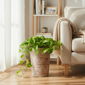 Maceta Grande de Plástico PP Ecológica, Retro y Creativa, para Palmeras, Decorativa, con Autorriego, de Alta Calidad - Product Image 6