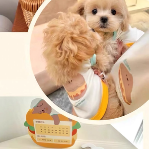 Gran oferta, chaleco con estampado de dibujos animados para perros, camisas de verano, ropa para mascotas, camisetas para cachorros, ropa transpirable para mascotas - Product Image 2