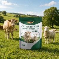 Supplément d'engraissement pour bétail certifié GMP, qualité alimentaire, pour bovins, ovins, caprins, chiens, chevaux, porcs
