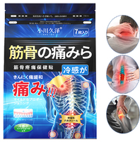 Pansement Corporel Poré de Médecine Traditionnelle Chinoise, Adhésif Médical Perforé Certifié IOS de Haute Qualité pour le Rhumatisme