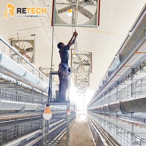 Endonezya 30000 tavuklar çiftlik otomatik kanatlı kafes ekipmanları çevre kontrolü ile katman yetiştirme sistemi - Product Image 6