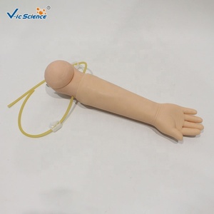 Modello di <span class=keywords><strong>Braccio</strong></span> per Addestramento alla Puntura Venosa Riutilizzabile con 8 Vene, Ritorno del Sangue e Sensazione di Puntura per Pratica Medica e Infermieristica - Product Image 1