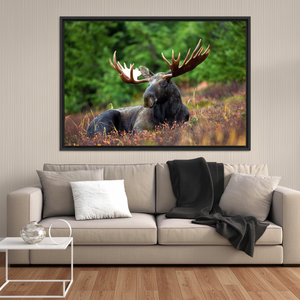 Rustic Moose <b>Canvas</b> <b>Wall</b> Art: Lodge Decor Printed <b>Canvas</b>,BLACK FRAMED <b>CANVAS</b> - Product Image 3
