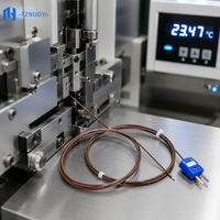Sonde de température isolée PFA avec connecteur mini TT-T-24-SLE pour thermocouple de type T, application cryogénique, OEM/ODM, IP65