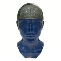 Estatua Impresa en 3D Transparente Personalizada, Escultura de Resina Transparente, Modelos de Arte, Decoración del Hogar, Exhibición en Galería, Regalo Coleccionable, Color Personalizado