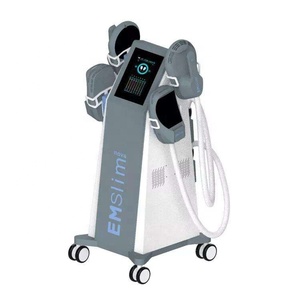 Professional Vertical 4 Handles Muscle Training Sculpting Equipment - Product Image 1