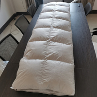 Édredon en duvet d'oie/canard personnalisé, 100% coton, 400 TC, 1 pièce, couette quatre saisons, hôtel