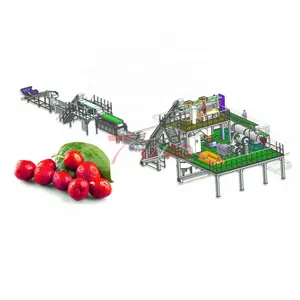 Jalur pemrosesan Apple dan pir otomatis jalur pemrosesan buah dan lini produksi pemrosesan sayuran