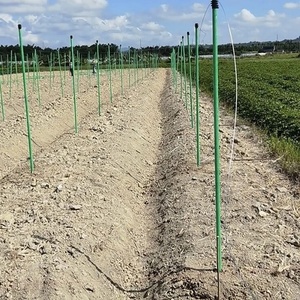 Tube en fibre de verre de longueur personnalisée, tige de support en PRV pour structures de serres - Product Image 1