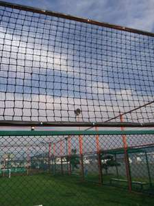 Terrain <span class=keywords><strong>de</strong></span> football standard 5-<span class=keywords><strong>a</strong></span>-Side terrain <span class=keywords><strong>de</strong></span> football en gazon artificiel avec <span class=keywords><strong>cage</strong></span> et clôture en acier - Product Image 4