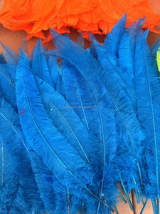 Plumas de Avestruz <span class=keywords><strong>Nandu</strong></span> al por Mayor de 50-55cm para Decoración de Fiestas, Hogar, Bodas, Manualidades, Sombrerería y Accesorios para el Cabello, Color Ciruela - Product Image 3