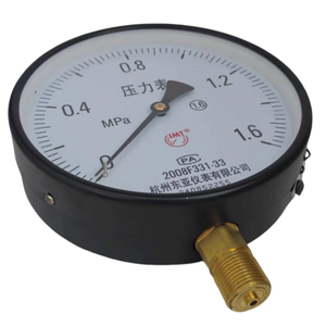 Manomètre Dongya Instruments Y-60 Y-100 Y-150 Y-200 0.6 1 1.6 2.5 Mpa Modèle Standard - Product Image 2