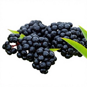 Gomitas de Saúco Sin Azúcar, Dulces de Fruta Natural, Suministro de Fábrica, a Granel, Personalizables - Product Image 2