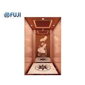 Or Rose haute qualité décoration de luxe maison Villa passager ascenseur résidentiel fabricant vente directe