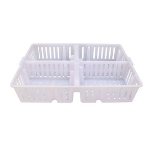 Caisse en plastique pour poussins d'un <span class=keywords><strong>jour</strong></span>, directement de l'usine, équipement d'élevage avicole, panier de transport en plastique pour poussins - Product Image 1