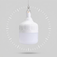 Lampes de secours LED solaires rechargeables portables, étanches IP65, avec charge USB pour la maison, le camping en plein air, la tente