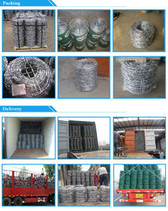 Kawat Berduri Baja Tahan Karat Single Twisted SS Grade 304 4 Mata 20kg Coil untuk Pagar Peternakan di Pantai - Product Image 5