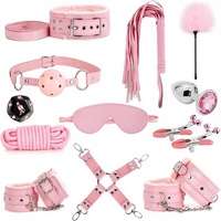Kit de bondage sexuel 12 pièces, ensemble de jouets BDSM, menottes, attaches de cheville, pinces à tétons, bâillon à boule, corde, plug anal