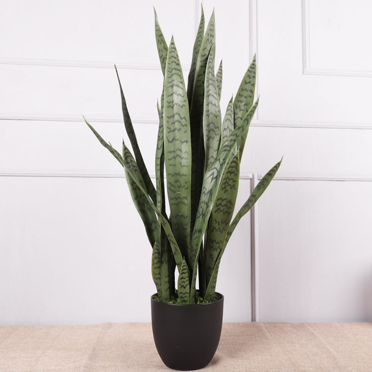 Plantes serpentines#7 89 centimètres