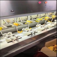 Volledig automatische mangopelmachine, 8-station mangopel-lijn, mangopelmachine