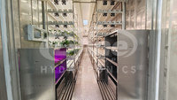 Système d'agriculture hydroponique verticale automatique intelligent avec moteur pour la culture de petites laitues