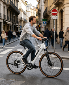 Vélo électrique adulte 250W, vélo électrique pas cher, mini vélo électrique pliable, vélo électrique à pneus larges, vélo électrique de style urbain pour les trajets quotidiens - Product Image 1