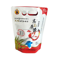 Machine de remplissage à azote 1,5 L 3L 5L 20L sac à bavoir eau vin dans une boîte remplisseur vitop jus boisson utiliser sac plastique dans une boîte