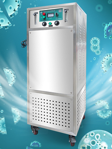 Système de traitement de l'eau de générateur <span class=keywords><strong>d</strong></span>'ozone pour l'eau potable souterraine 30g <span class=keywords><strong>purificateur</strong></span> <span class=keywords><strong>d</strong></span>'<span class=keywords><strong>air</strong></span> pour stérilisateur à l'ozone de voiture de chambre - Product Image 2