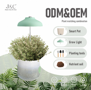 ערכת גידול צמחים ביתית J&C מיני גארדן צ'ארלו עם מתאם -  לזרעי פרחים, צמחים מקורה, ופנסי גידול ירוקים - Product Image 1