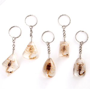 Porte-clés en ambre avec spécimen d'insecte véritable, scorpion, araignée cornée, scarabée, en résine, cadeau souvenir - Product Image 1