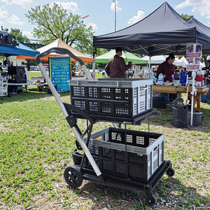 LEADLOONG Chariot pliable à 2 niveaux avec caisse de rangement Chariot pliable pour cuisine, garage, épicerie, blanchisserie, usage extérieur - Product Image 2