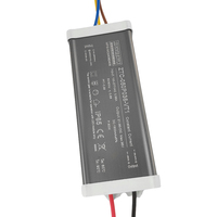 Fuente de Alimentación Zetoo CVT para Alumbrado Público LED de 50W 60W, 27-36VDC 1.5A-1.8A, Corriente Constante, Aislamiento HPF para Exteriores
