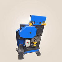 Machine de poinçonnage et de cisaillement multifonctionnelle pneumatique pour fer et profilés angulaires 380V
