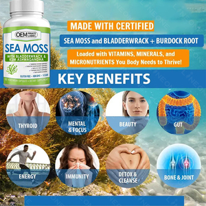 OEM/ODM Sea Moss Pills Certified Irish <strong>Seamoss</strong> Capsules Bladderwrack Irish Sea Moss Capsules - Product Image 5