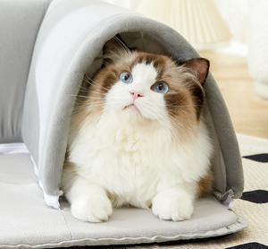 Innovatives Vier-Jahreszeiten-Katzen spielzeug bett mit Nest und Tunnel Neues Memory Foam-Haustier bett für Katzen aller Größen - Product Image 5
