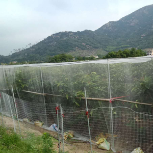 <span class=keywords><strong>Malla</strong></span> de insectos <span class=keywords><strong>blanca</strong></span> de primera calidad Protección de plagas duradera y estabilizada con rayos UV para una salud óptima de los cultivos - Product Image 4