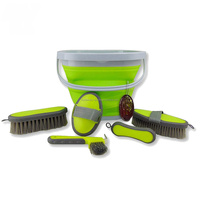 Kit de toilettage pour chevaux avec boîte