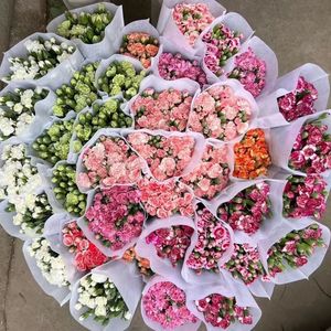 Flores de Clavel Dodin Multicabeza al por Mayor, Flores Frescas de Yunnan Duodingkang de Cabello Liso para Navidad y Día de San Valentín - Product Image 4