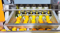 Voedselveilige PLC-gestuurde citruspers voor fruitverwerkingsbedrijven, productielijn voor vers sinaasappelsap