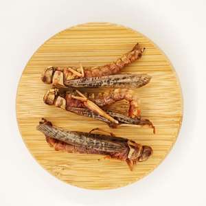 Atacado 100% Natural Alimento para Pequenos Animais Grilos Secos - Product Image 6