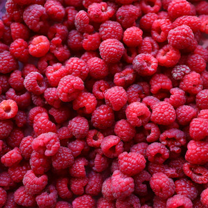 Framboises surgelées IQF en vrac, les meilleures, délicieuses, fraîches, noires, rouges, sans pépins, sucrées, fruits surgelés, prix de gros - Product Image 1