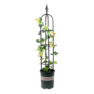Treillis en métal durable, obélisque <span class=keywords><strong>pour</strong></span> plantes grimpantes, supports de plantes de jardin modernes, piquets avec revêtement en fer, clôture de fer, utilisation <span class=keywords><strong>pour</strong></span> clôture de ferme - Product Image 1