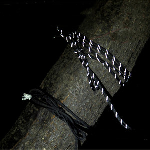 Paracorde réfléchissant 550 cordon 7 brins <span class=keywords><strong>4mm</strong></span> <span class=keywords><strong>corde</strong></span> de tente Camping survie accessoires d'avertissement Parachute ligne randonnée auvent longe - Product Image 2