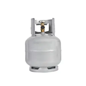 Small Portable Lpg Toroidal Gas Cylinder With Valve For Cooking/camping
