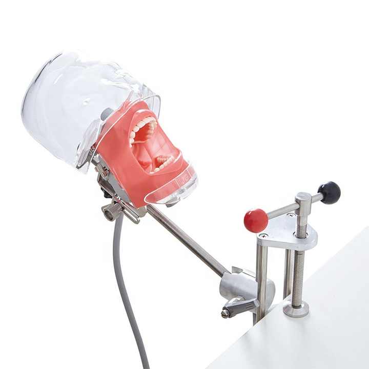 さまざまなタイプの歯科トレーニング用の透明なプラスチックヘッドを  